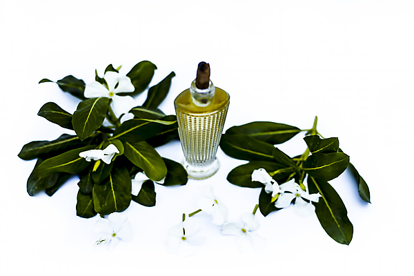 포토 JPG 해외이미지 꽃 백그라운드 잎 꽃무늬 유리 사람없음 파란색 유행 견본 우주 화장품 흰색 신선 화려 액체 고급 우아함 상품 정상 큼 컨테이너 향수 오브젝트 향기 냄새 아로마 분무기 향 악취 내추럴 돌봄 마다가스카르 에센스 해외포토 식물 산업 컬러 컨셉 무늬 모션 재질 뷰티 크기 파일형식 이미지허브