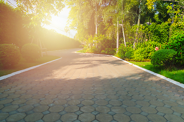 포토 JPG 해외이미지 나무 식물 디자인 외관 공원 도로 길 백그라운드 잎 벤치 건축양식 자연 주택 손바닥 풍경 잔디 사람없음 야외 초록색 여름 햇빛 평화 환경 정원 맑음 봄 산책 바위 도시 오솔길 원예 조경 뒤뜰 방법 선로 해외포토 손 계절 공공시설 건축 컬러 컨셉 의자 교통시설 날씨 휴식 취미 건물 태양 돌_바위 생태계 파일형식 이미지허브