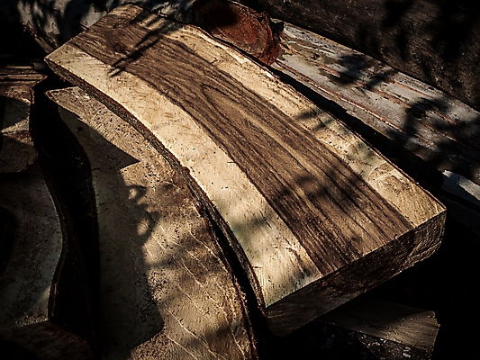 포토 JPG 해외이미지 나무 산업 백그라운드 컨셉 패턴 자연 표면 미래 그림자 사람없음 야외 목재 여름 글로벌 갈색 쌓기 환경 어둠 손상 보호 숲 자르기 질감 통나무 잡동사니 내추럴 생태학 수목 옛날 이슈 재앙 해외포토 식물 계절 교육 컬러 무늬 재료 모션 생태계 파일형식 이미지허브