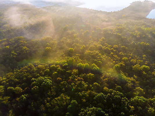 포토 JPG 해외이미지 나무 계절 공원 여행 잎 자연 하늘 아침 산 사람없음 야외 초록색 빛 컬러풀 햇빛 태양 뷰티 일출 환경 맑음 침묵 일몰 봄 새벽 안개 광선 시골 저녁 숲 신비 장면 내추럴 뿌연 웅장함 해외포토 주간 자연요소 식물 공공시설 컬러 컨셉 날씨 노을 소리 야간 생태계 파일형식 이미지허브
