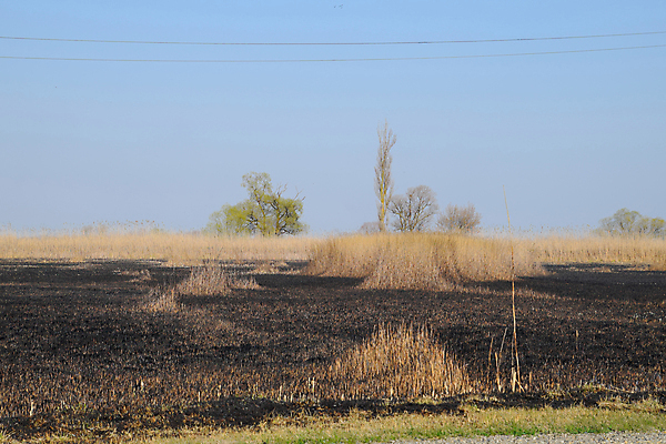 포토 JPG 해외이미지 호수 여행 낙엽 잎 캐나다 하늘 불 동양인 사람없음 물 울타리 농장 시골 고속도로 개울 습지 숲 홍수 러시아 트랙 재 산맥 해외포토 자연요소 식물 유럽 도로 북아메리카 농업 산 인종 담장 강 자연재해 파일형식 이미지허브