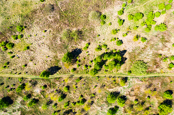 포토 JPG 해외이미지 나무 구름 계절 공원 여행 잎 오렌지 자연 하늘 날씨 잉글랜드 산 안테나 파노라마 풍경 사람없음 야외 빨간색 초록색 빛 컬러풀 맑음 가을 시골 황금 정상 숲 땅 장면 북쪽 10월 내추럴 넘어짐 드론 수평선 해외포토 자연요소 식물 공공시설 컬러 과일 통신 모션 영국 촬영기법 날짜 방향 생태계 파일형식 이미지허브