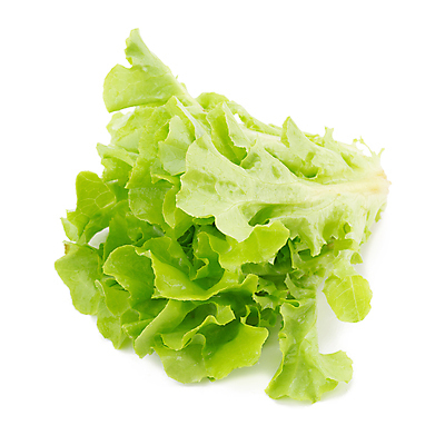 포토 JPG 해외이미지 식물 음식 백그라운드 잎 농업 채소 재료 자연 건강 요리 동양인 사람없음 초록색 여름 농장 식사 봄 샐러드 흰색 신선 상추 유기농 날것 고립 채식주의자 해외포토 웰빙 계절 산업 컬러 인종 생태계 채식 파일형식 이미지허브