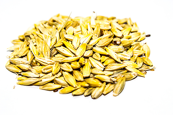 포토 JPG 해외이미지 식물 디자인 음식 빵 줄기 백그라운드 밭 농업 채소 일러스트 자연 밥 건강 옥수수 씨앗 사람없음 그래픽 농작물 세트 농장 노란색 라벨 빵집 수확 시골 시장 낟알 시리얼 밀 메밀 심볼 유기농 보리 귀 밀가루 내추럴 고립 밭일 수수 숙성 엘리먼트 호밀 귀리 해외포토 웰빙 산업 컬러 식재료 곡류 프레임 신체부위 상점 가루 생태계 파일형식 이미지허브