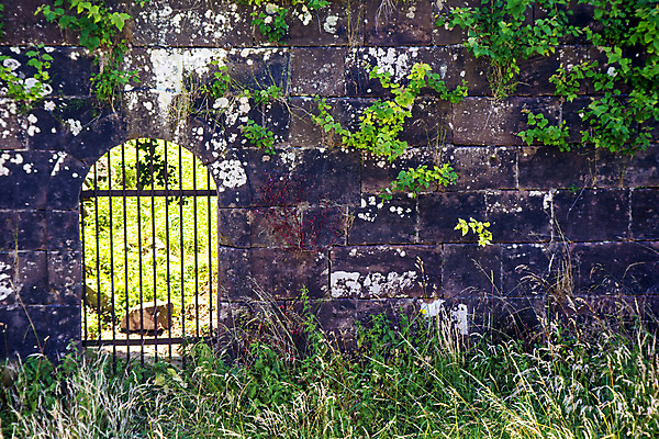 포토 JPG 해외이미지 모래 벽 백그라운드 텍스트 사람없음 초록색 우주 거친 중세 역사 중앙 철 묘사 질감 대문 정사각형 사암 무료 옛날 해외포토 도형 컬러 문 돌_바위 파일형식 이미지허브