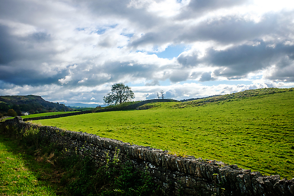 포토 JPG 해외이미지 영어 밭 농업 자연 영국 잉글랜드 풍경 사람없음 야외 울타리 농경지 평화 가축 시골 양 언덕 컴브리아주 해외포토 동물 문자 유럽 산업 컨셉 포유류 담장 농장 생태계 파일형식 이미지허브