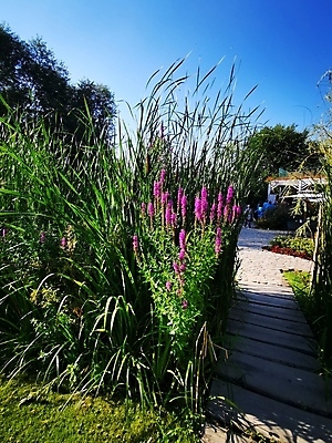 포토 JPG 해외이미지 나무 식물 공원 꽃 얼굴 벽 시계 분홍색 백그라운드 벤치 탁자 하늘 벽돌 거리 손바닥 서기 사람 앉기 사람없음 야외 목재 초록색 물 사무실 정원 방 바위 닫기 사인 소화전 고립 해외포토 자연요소 손 공공시설 컬러 가구 의자 비즈니스 재료 모션 신체부위 돌_바위 안전장비 파일형식 이미지허브