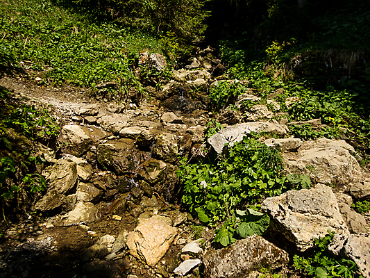 포토 JPG 해외이미지 나무 계절 여행 모션 자연 휴가 산 이끼 사람없음 야외 초록색 물 파란색 골짜기 봄 폭포 하이킹 흐름 시골 개울 보호 숲 내추럴 바이에른 해외포토 자연요소 식물 컬러 컨셉 레저 독일 강 생태계 파일형식 이미지허브
