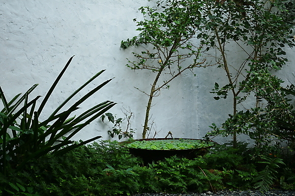 포토 JPG 해외이미지 식물 벽 잎 건축양식 자연 주택 사람없음 야외 초록색 물 정원 흰색 연못 조경 해외포토 자연요소 건축 컬러 건물 생태계 파일형식 이미지허브