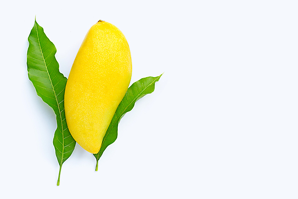 포토 JPG 해외이미지 잎 실내 사람없음 한개 열대과일 흰배경 망고 카피스페이스 해외포토 식물 1 백그라운드 과일 내부 공백 흰색 파일형식 이미지허브