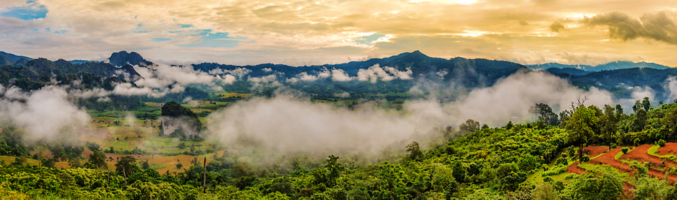 포토 JPG 해외이미지 나무 구름 계절 공원 여행 겨울 태국 자연 하늘 아침 산 파노라마 풍경 사람없음 야외 초록색 여름 파란색 컬러풀 뷰티 일출 계곡 어둠 일몰 새벽 하이킹 안개 가을 정상 야간 숲 언덕 내추럴 뿌연 절정 해외포토 주간 자연요소 식물 공공시설 아시아 컬러 레저 날씨 촬영기법 노을 생태계 파일형식 이미지허브