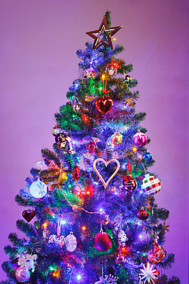 포토 JPG 해외이미지 나무 아이콘 전통 별 분홍색 백그라운드 크리스마스 겨울 공 추상 휴가 전등 새해 기념 이벤트 사람없음 장식 빨간색 초록색 파란색 빛 컬러풀 장난감 뷰티 크리스마스트리 보라색 축제 화환 어둠 장비 추위 하트 램프 축하 소나무 신용카드 황금 오브젝트 심플 엽서 강렬 주도 해외포토 자연요소 모양 식물 계절 기념일 꽃 컬러 컨셉 무늬 조명 금융 예절 편지 파일형식 이미지허브