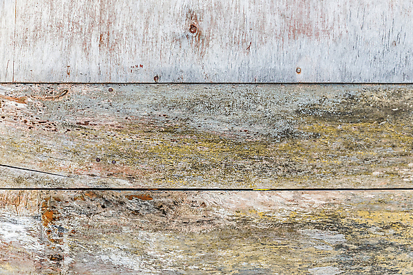 포토 JPG 해외이미지 디자인 외관 벽 백그라운드 패턴 벽지 표면 날씨 추상 사람없음 목재 빨간색 초록색 페인트 손상 수확 흰색 시골 소나무 판넬 거친 그리기 널 버리기 질감 복고 목공예 스크래치 내추럴 그런지 수목 썩음 옛날 카피스페이스 해외포토 나무 컬러 컨셉 무늬 농업 재료 모션 공백 공예 파일형식 이미지허브