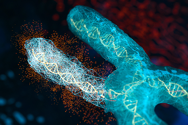 JPG 해외이미지 하늘색 사람없음 3D 검은색 DNA 염색체 염색체구조 폴리곤 해외포토 포토 컬러 파란색 생명공학 디지털합성 파일형식 이미지허브
