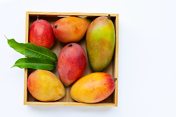 포토 JPG 해외이미지 잎 실내 사람없음 나무상자 열대과일 흰배경 담기 망고 애플망고 해외포토 식물 백그라운드 과일 모션 내부 상자 흰색 파일형식 이미지허브