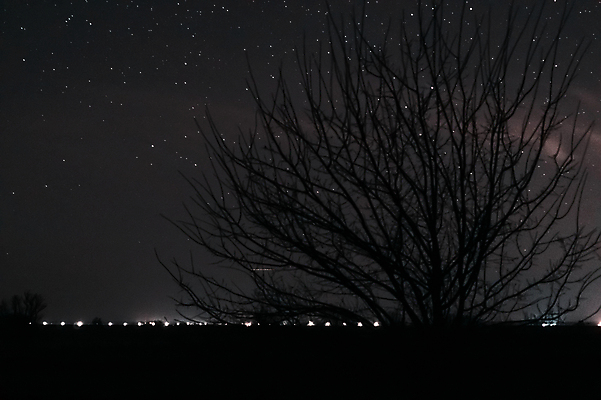 포토 JPG 해외이미지 나무 별 모션 자연 하늘 사람없음 야외 파란색 빛 우주 어둠 별자리 분위기 야간 저녁 심플 점성술 해외포토 자연요소 식물 컬러 컨셉 생태계 파일형식 이미지허브