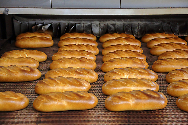 포토 JPG 해외이미지 빵 공장 실내 사람없음 여러개 일렬 해외포토 음식 다수 공업 내부 파일형식 이미지허브