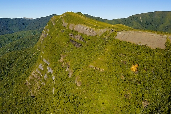 포토 JPG 해외이미지 나무 식물 구름 여행 백그라운드 잎 자연 하늘 산 풍경 사람없음 야외 초록색 여름 파란색 컬러풀 환경 맑음 봄 새벽 안개 가을 황무지 숲 신비 열대우림 언덕 스카이라인 뿌연 절정 그리너리 해외포토 자연요소 계절 컬러 컨셉 날씨 생태계 파일형식 트랜드컬러 이미지허브