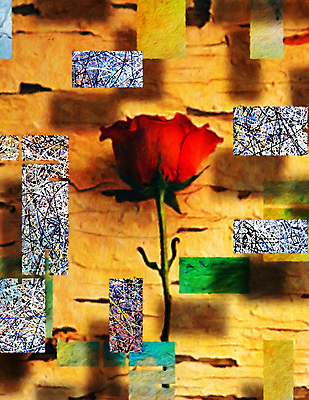 포토 JPG 해외이미지 모양 식물 꽃잎 꽃 실루엣 벽 백그라운드 잎 꽃무늬 패턴 일러스트 부분 자연 추상 그림자 사랑 미술 사람없음 그래픽 장식 빨간색 단어 장미 페인트 봄 블록 수확 벚꽃 점 그리기 가시 영혼 균열 싱글 그림 질감 복고 열정 직사각형 구성 그런지 스타일 해외포토 도형 문자 계절 감정 컬러 무늬 농업 모션 문화예술 촬영기법 생태계 파일형식 이미지허브