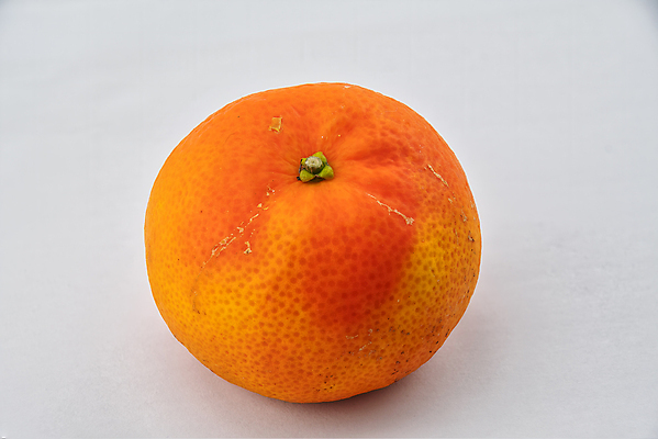 포토 JPG 해외이미지 전통 음식 다이어트 오렌지 과일 디저트 귤 건강 사람없음 빛 컬러풀 에너지 껍질 신선 원형 달콤 맛 흰배경 유기농 날것 내추럴 고립 쉬운 해외포토 도형 웰빙 컬러 백그라운드 컨셉 흰색 파일형식 이미지허브