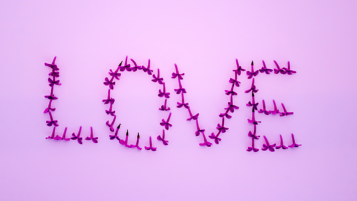 포토 JPG 해외이미지 식물 디자인 계절 꽃잎 꽃 분홍색 꽃다발 백그라운드 컨셉 잎 꽃무늬 패턴 텍스트 자연 벽지 추상 휴가 프레임 발렌타인데이 사랑 미술 사람없음 그래픽 장식 빨간색 초록색 단어 빛 컬러풀 뷰티 보라색 봄 벚꽃 흰색 하트 축하 인사 신선 신용카드 개화 메시지 5월 배열 제비꽃 오브젝트 사인 그림 질감 향기 라일락 내추럴 고립 구성 레터링 해외포토 모양 문자 감정 컬러 무늬 데이이벤트 문화예술 금융 예절 날짜 생태계 냄새 파일형식 이미지허브