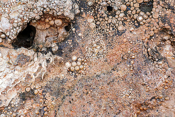 포토 JPG 해외이미지 모양 전통 디자인 바다 백그라운드 컨셉 패턴 자연 벽지 표면 추상 사람없음 야외 장식 빛 강 태양 쌓기 정원 검은색 회색 조약돌 흰색 원형 거친 닫기 매끈함 작음 묘사 질감 내추럴 고립 해외포토 자연요소 도형 컬러 무늬 모션 돌_바위 감각 크기 생태계 파일형식 이미지허브