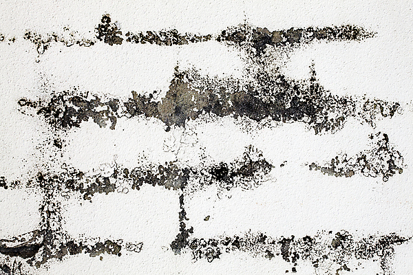 포토 JPG 해외이미지 외관 산업 벽 백그라운드 패턴 건축양식 표면 날씨 추상 벽돌 건설업 돌담 사람없음 건물 가로 공백 바위 흰색 거친 균열 큼 타일 고민 질감 시멘트 구식 그런지 옛날 콘크리트 카피스페이스 해외포토 건축물 건축 감정 컬러 무늬 모션 담장 돌_바위 크기 파일형식 이미지허브