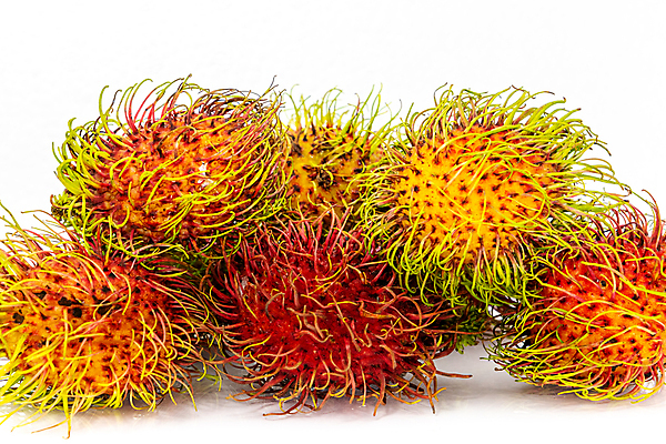 포토 JPG 해외이미지 식물 계절 아시아 음식 백그라운드 잎 농업 다이어트 과일 재료 태국 자연 디저트 건강 씨앗 동양인 사람없음 빨간색 컬러풀 수확 흰색 신선 그룹 시장 닫기 달콤 맛 자르기 피부 상쾌 유기농 질감 내추럴 고립 숙성 이국적 많음 해외포토 웰빙 감정 나라 산업 컬러 컨셉 모션 인종 신체부위 생태계 파일형식 이미지허브