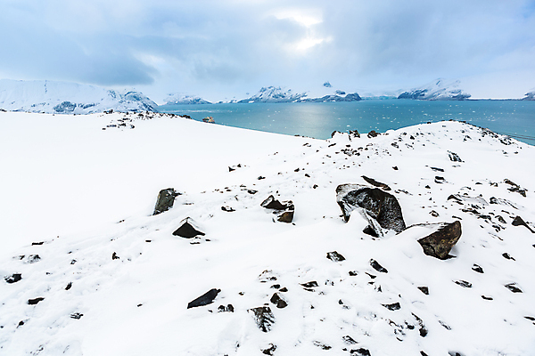 포토 JPG 해외이미지 동물 야생동물 바다 여행 백그라운드 겨울 자연 조류 하늘 산 풍경 사람없음 야외 물 얼음 추위 흰색 만 보트 크루즈 물개 남극 북극 펭귄 빙하 봉 빙산 남쪽 내추럴 식민지 해외포토 자연요소 계절 컬러 배_교통 포유류 바다동물 극지방 방향 생태계 파일형식 이미지허브
