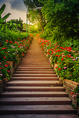 포토 JPG 해외이미지 식물 외관 꽃 문화 선 분홍색 태국 자연 벽돌 사람없음 야외 장식 빨간색 초록색 컬러풀 농장 계단 정원 활발 궁전 수확 성장 벚꽃 시골 개화 지중해 원예 단계 그리스인 영원 제라늄 줄서기 해외포토 서양인 아시아 바다 컬러 컨셉 고건축 농업 모션 취미 생태계 파일형식 이미지허브