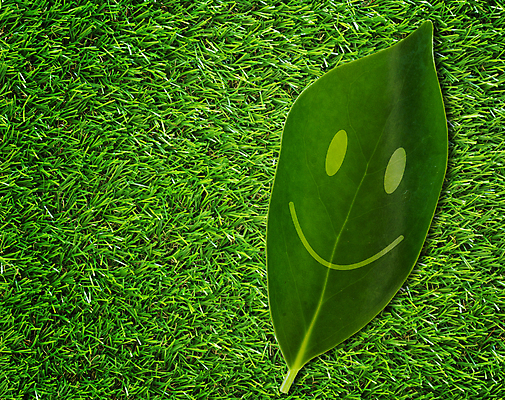 포토 JPG 해외이미지 모양 손 행복 얼굴 여행 백그라운드 컨셉 잎 자연 추상 휴가 사랑 미소 잔디 사람없음 장식 초록색 여름 컬러풀 기쁨 자유 신혼여행 수확 최고 생일 그리기 사인 그림 에코 복고 긍정 생태학 해외포토 식물 계절 교육 기념일 감정 컬러 결혼 무늬 농업 모션 표정 신체부위 환경 생태계 파일형식 이미지허브