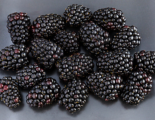 포토 JPG 해외이미지 계절 열매 패턴 농업 다이어트 과일 재료 디저트 건강 사람없음 빛 검은색 어둠 주스 수확 신선 그룹 시장 달콤 맛 유기농 질감 날것 블랙베리 숙성 채식주의자 많음 디톡스 비건 해외포토 식물 웰빙 산업 음료 음식 컬러 컨셉 무늬 채식 파일형식 이미지허브