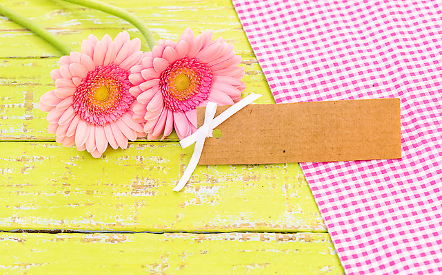 포토 JPG 해외이미지 꽃잎 꽃 탁자 선물 사람없음 목재 장식 꼬리표 라벨 공백 벚꽃 인사 신용카드 다발 사인 해외포토 나무 식물 가구 재료 프레임 금융 예절 파일형식 이미지허브