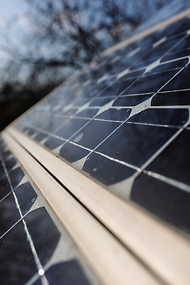 포토 JPG 해외이미지 식물 산업 백그라운드 패턴 자연 하늘 지붕 주택 세포 사람없음 야외 건물 초록색 경제 파란색 빛 햇빛 태양 환경 힘 재활용 장비 에너지 판넬 뜨거움 그린에너지 보호 옥상 생태계 질감 태양에너지 먼지 세대 혁명 생태학 수집가 옛날 해외포토 자연요소 직업 건축물 교육 컬러 컨셉 무늬 친환경 파일형식 이미지허브