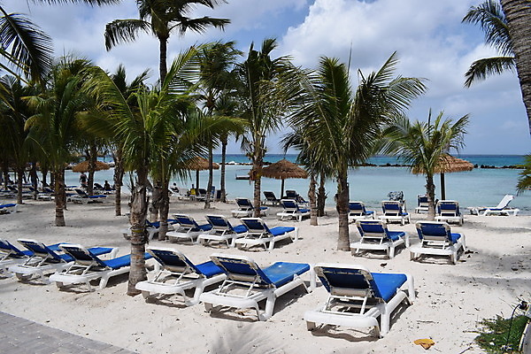 포토 JPG 해외이미지 나무 모래 바다 섬 여행 자연 하늘 휴가 손바닥 풍경 사람없음 야외 물 여름 파란색 야자수 맑음 흰색 휴양지 코코넛 카리브해 이국적 파라다이스 수평선 해외포토 자연요소 식물 손 계절 컬러 과일 날씨 장소 생태계 파일형식 이미지허브