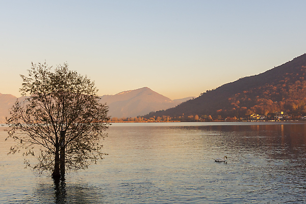 포토 JPG 해외이미지 나무 호수 여행 요트 자연 하늘 휴가 휴식 산 파노라마 사람없음 물 강 태양 반사 마을 환경 항구 침묵 황혼 일몰 이탈리아 새벽 안개 물방울 도시 저녁 알프스 타운 수평선 카피스페이스 해외포토 자연요소 식물 유럽 컨셉 배_교통 교통시설 날씨 촬영기법 노을 소리 공백 야간 생태계 파일형식 이미지허브