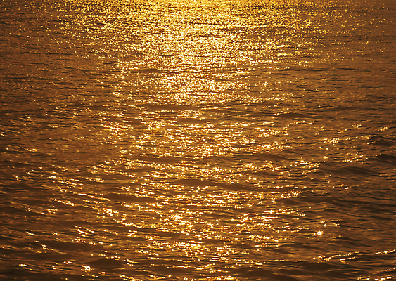 포토 JPG 해외이미지 계절 파도 바다 백그라운드 오렌지 자연 벽지 날씨 사람없음 가로 빨간색 빛 햇빛 태양 뷰티 반사 노란색 일출 수영 고요 황혼 일몰 새벽 신선 점 액체 서핑 황금 갈증 마법 천국 내추럴 쓰나미 수평선 해외포토 자연요소 컬러 과일 노을 수상스포츠 생태계 해일 파일형식 이미지허브