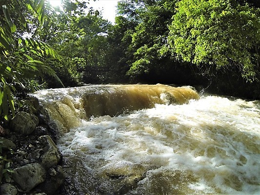 포토 JPG 해외이미지 나무 식물 공원 아시아 여행 백그라운드 잎 자연 산 풍경 사람없음 야외 초록색 물 여름 강 뷰티 환경 미국 폭포 젖음 흐름 가을 바위 신선 개울 황무지 숲 열대우림 브라질 남쪽 내추럴 아마존 이국적 전국 해외포토 자연요소 계절 공공시설 나라 컬러 컨셉 북아메리카 돌_바위 남아메리카 방향 생태계 파일형식 이미지허브