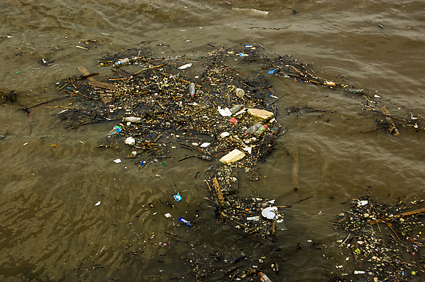 포토 JPG 해외이미지 백그라운드 벽지 사람없음 야외 목재 가로 물 강 쓰레기 폐기물 플라스틱 낭비 템스강 해외포토 자연요소 나무 컨셉 재료 재질 잉글랜드 파일형식 이미지허브