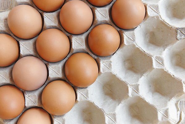 포토 JPG 해외이미지 동물 음식 백그라운드 농업 재료 자연 탁자 조류 부활절 건강 요리 사람없음 목재 가로 농장 갈색 계란 치킨 껍질 흰색 시골 신선 그룹 볏짚 아침식사 컨테이너 유기농 날것 흙더미 건강식 수탉 내추럴 고립 단백질 밭일 생식 암탉 해외포토 나무 웰빙 기념일 산업 컬러 가구 알 식사 흙 닭 짚 암컷 수컷 생태계 닭고기요리 영양소 파일형식 더미 이미지허브