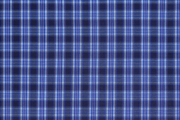 포토 JPG 해외이미지 디자인 선 백그라운드 셔츠 패턴 벽지 표면 추상 사람없음 장식 파란색 유행 사각형 직물 면 플랫 클래식 묘사 확인 질감 체크무늬 대칭 스타일 해외포토 도형 컬러 컨셉 상의 무늬 파일형식 이미지허브