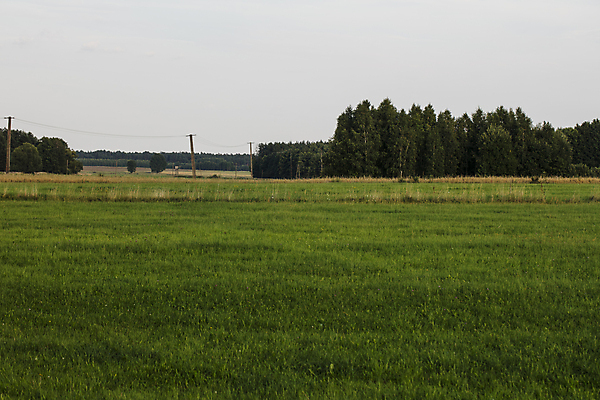 포토 JPG 해외이미지 나무 식물 계절 백그라운드 밭 농업 자연 하늘 날씨 파노라마 잔디 사람없음 야외 초록색 파란색 빛 햇빛 태양 환경 맑음 봄 활발 시골 신선 숲 땅 장면 내추럴 수평선 해외포토 자연요소 산업 컬러 컨셉 촬영기법 생태계 파일형식 이미지허브