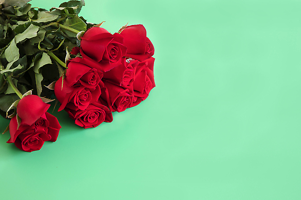 포토 JPG 해외이미지 식물 기념일 꽃잎 꽃 줄기 꽃다발 백그라운드 잎 꽃무늬 자연 휴가 발렌타인데이 선물 사랑 사람없음 장식 빨간색 초록색 뷰티 장미 우주 벚꽃 흰색 신선 신용카드 생일 다발 배열 오브젝트 열정 내추럴 고립 해외포토 감정 컬러 무늬 데이이벤트 이벤트 금융 생태계 파일형식 이미지허브