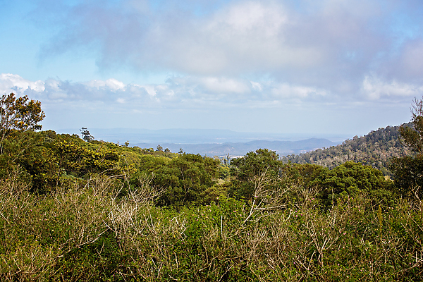 포토 JPG 해외이미지 나무 구름 계절 공원 백그라운드 겨울 농업 하늘 날씨 산 거리 풍경 사람없음 야외 초록색 여름 파란색 빛 햇빛 평화 환경 봄 시골 잡초 호주 숲 땅 고도 언덕 그림 장면 서식지 밭일 생태학 전경 해외포토 자연요소 식물 공공시설 교육 산업 컬러 컨셉 태양 오세아니아 파일형식 탑뷰 이미지허브