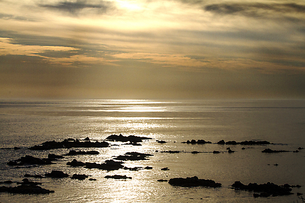 포토 JPG 해외이미지 모래 파도 바다 여행 백그라운드 오렌지 자연 조류 하늘 아침 휴가 사람없음 물 파란색 컬러풀 햇빛 태양 반사 평화 일출 침묵 황혼 일몰 새벽 활발 저녁 암초 내추럴 해일 해외포토 주간 자연요소 동물 컬러 컨셉 과일 노을 소리 야간 자연재해 생태계 파일형식 이미지허브