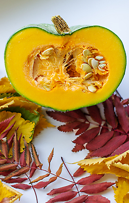 포토 JPG 해외이미지 식물 계절 음식 줄기 조각 잎 농업 채소 오렌지 과일 재료 자연 호박 휴가 건강 요리 씨앗 사람없음 목재 장식 빨간색 초록색 농작물 노란색 식사 수확 신선 횡단보도 11월 자르기 오브젝트 유기농 날것 박 건강식 10월 내추럴 고립 숙성 채식주의자 카피스페이스 해외포토 나무 웰빙 산업 컬러 모션 공백 날짜 보행로 생태계 채식 파일형식 이미지허브