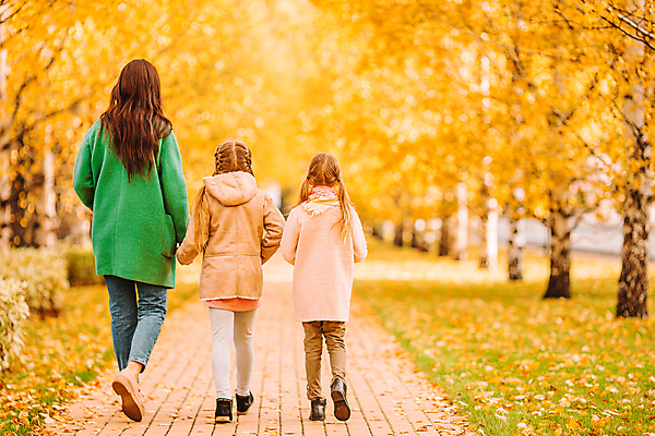 포토 JPG 해외이미지 전신 공원 여자 어린이 낙엽 단풍나무 모녀 성인 뒷모습 아웃포커스 세명 노란색 걷기 손잡기 산책 산책로 여자만 해외포토 나무 공공시설 딸 길 뷰포인트 컬러 단풍 잎 가족 모션 엄마 휴식 촬영기법 사람 파일형식 이미지허브