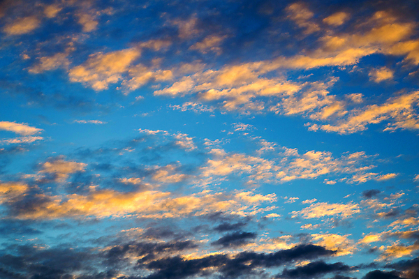 포토 JPG 해외이미지 구름 계절 백그라운드 밭 자연 하늘 날씨 추상 휴가 불꽃 풍경 사람없음 야외 초록색 여름 파란색 빛 햇빛 태양 뷰티 농장 우주 일출 환경 맑음 일몰 봄 자유 광선 흰색 신선 땅 언덕 천국 내추럴 수평선 해외포토 자연요소 컬러 컨셉 무늬 농업 불 노을 생태계 파일형식 이미지허브