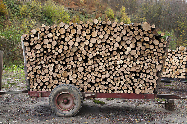 포토 JPG 해외이미지 나무 산업 농업 비즈니스 교통시설 자연 사람없음 야외 목재 갈색 쌓기 환경 기계 장비 화물 바퀴 숲 장작 자르기 통나무 트랙터 트레일러 잡동사니 수목 해외포토 식물 컬러 교통 재료 모션 운송업 농기계 시설 생태계 특수차량 파일형식 이미지허브