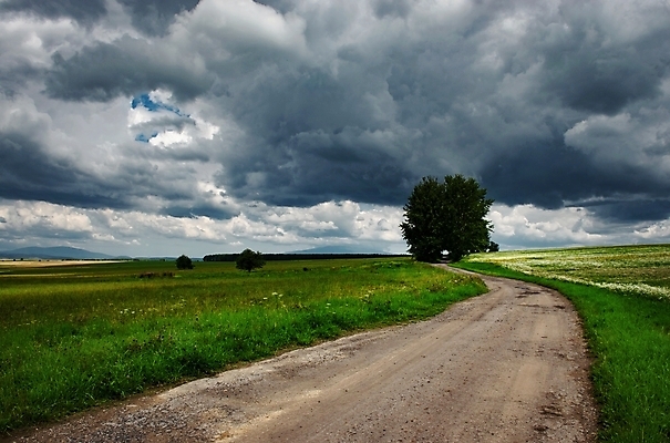포토 JPG 해외이미지 식물 응시 계절 도로 백그라운드 밭 자연 하늘 날씨 사람없음 야외 파란색 농경지 환경 검은색 어둠 회색 시골 위험 장면 폭풍 무거움 내추럴 뇌우 슬로바키아 폭풍우 해외포토 시선 유럽 길 컬러 컨셉 농업 교통시설 농장 비_날씨 무게 자연재해 생태계 파일형식 이미지허브